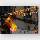 Bandera España 90x145cm sin argolla