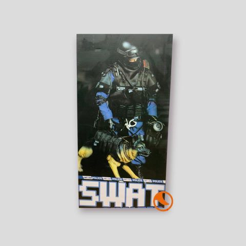 Figuar Pack 1:6 Swat Assualter